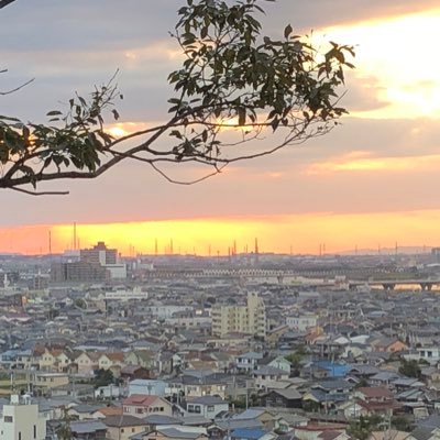 karikaridobu's profile picture. 何も知らない大学生