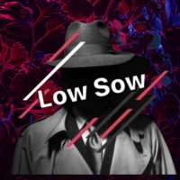 Low Sow|オナ禁界の帝王 (@lowsow2021) 's Twitter Profile