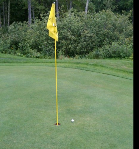 middlezee's profile picture. 