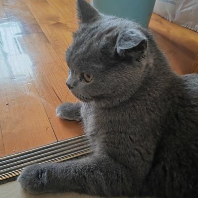 IUZXFy's profile picture. 好人