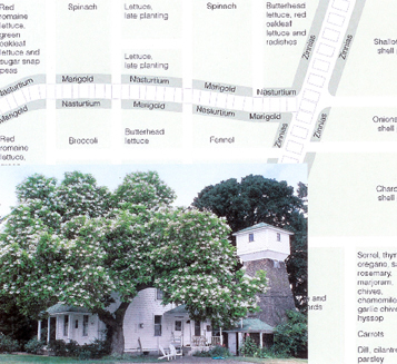 WhiteHouseGardn's profile picture. Our westcoast farm is planting a replica of the White House kitchen vegetable garden so PNW kids can feel part of it all. #twitter4vg Get growing with us!