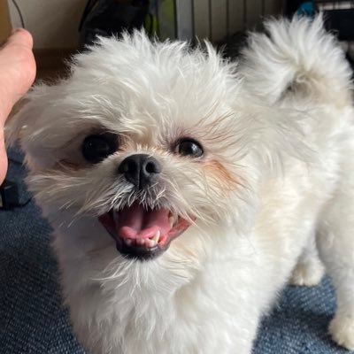 なつきさんのプロフィール画像