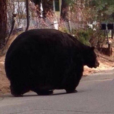 g93V5CVl9b306's profile picture. ご飯うめえ！！！！！！！