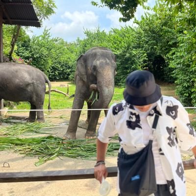 mhd_fd_'s profile picture. Little monster since 2009. Proudly Malaysian 🇲🇾