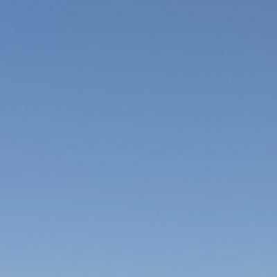 versversbr's profile picture. xxl