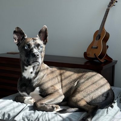 najars128's profile picture. Environmental scientist || Musician