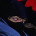 kagun🪼 (@chanchanwie) Twitter profile photo kagun🪼 (@chanchanwie) Twitter profile photo