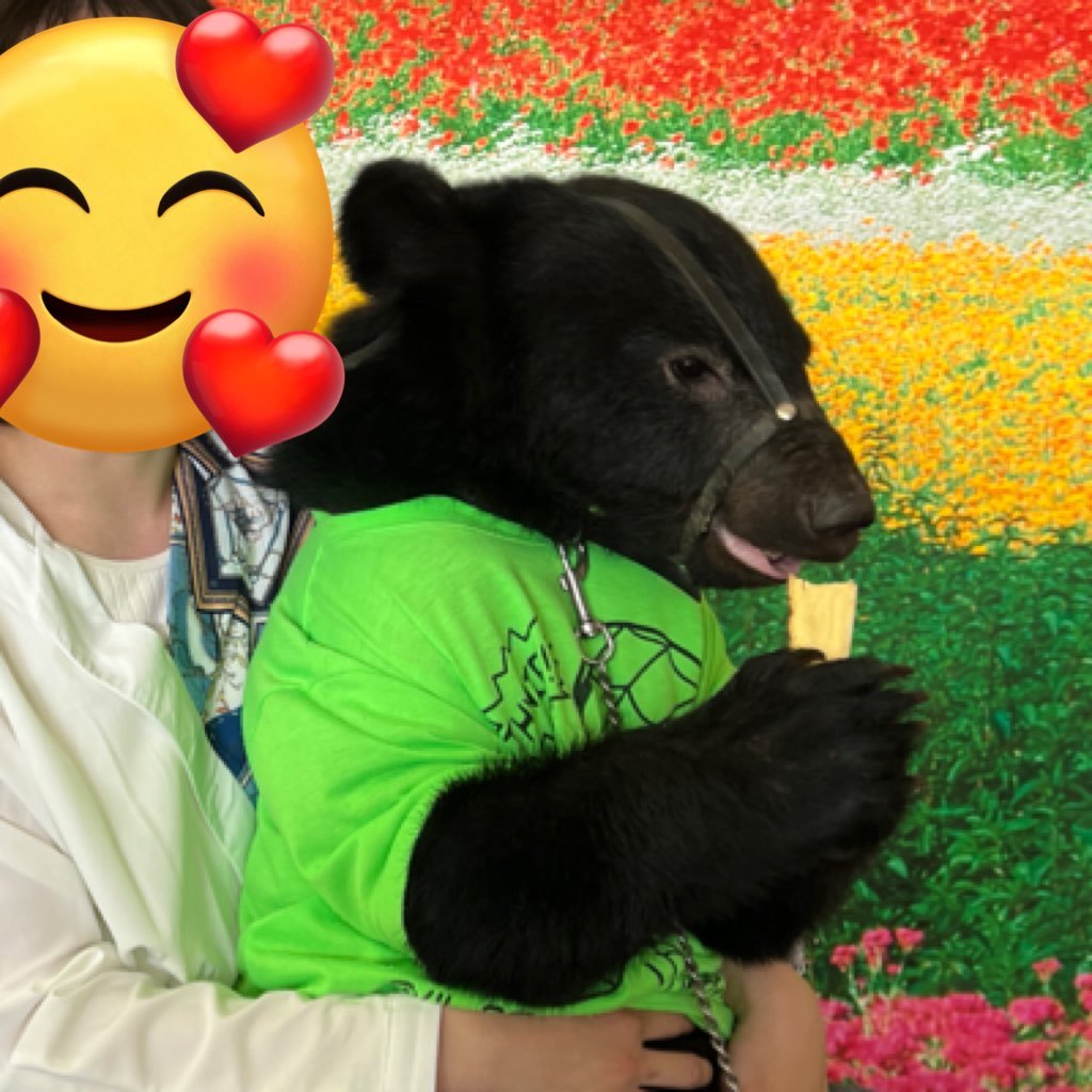 でりっとさんのプロフィール画像