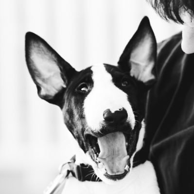 scuddles90 Profile