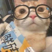 sasa²⁵ ࣪ ִֶָ🐇་༘ (@sassyyiee) 's Twitter Profile
