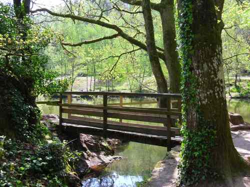 Toute l'actu des Offices de Tourisme de la #Foret de #Broceliande #guer #paimpont #trehorenteuc