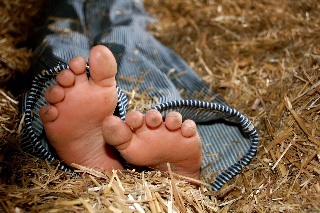 GoddenFarms's profile picture. Milking cows, raising kids, selling Godden's Whole Hog Sausage at the farm gate and following the issues of Rural Ontario