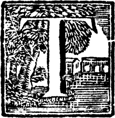 T_Nomics's profile picture. Tara a @floridacollege and @USFBusiness alumnus living in @TempleTerrace.  Check out her new blog, http://t.co/5fjnBeGB1i!