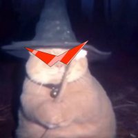 cat_diary (@cat_diary__) 's Twitter Profile Photo