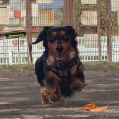 HMitsuoka60211's profile picture. 