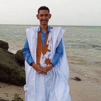 امحمد ولد العباس (@elabassem29811) 's Twitter Profile
