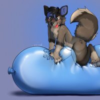 ๐๐ถ๐๐ฎ๐๐น๐ฎ๐ ๐ท๐๐๐ฝ (@wi_shep) 's Twitter Profile Photo ๐๐ถ๐๐ฎ๐๐น๐ฎ๐ ๐ท๐๐๐ฝ (@wi_shep) 's Twitter Profile Photo