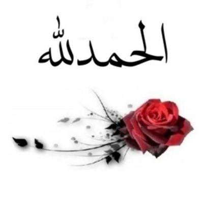 أنشر و أكتب عما يحدث في فلسطين
I publish and I write about palestine .
- I suggest to boycott Facebook