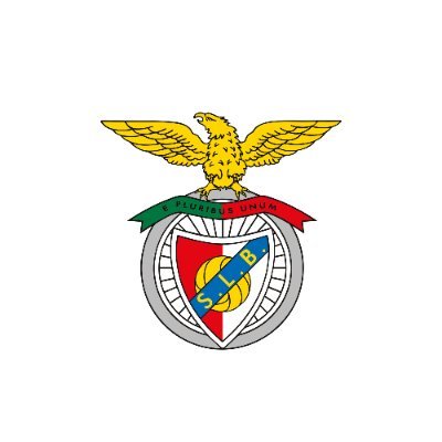 SLBenfica Modalidades Profile