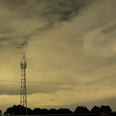 1of1remi's profile picture. 