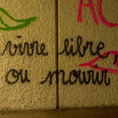 leyderetour's profile picture. c'est le retour de la gauchiste qui raconte sa vie j'en peux plus des racistes svp dégagez