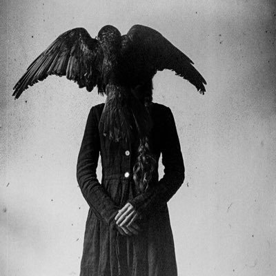 ShinKhanum's profile picture. 