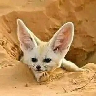 md4041018595128's profile picture. 