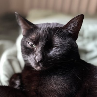 whatisjimmydoin Profile Picture