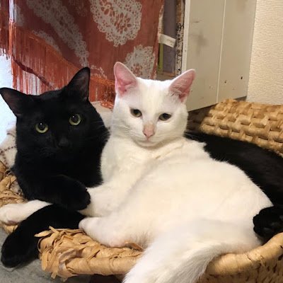 mikan7151970's profile picture. 