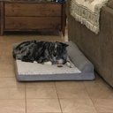 Terri Crow - @tcrow5433 - Twitter