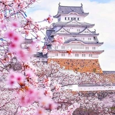 BrandonMcd82561's profile picture. 