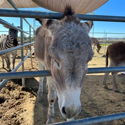 PedroPaul2112's profile picture. Most Interesting Pedro in the World. Drinking Mezcal From the Bottle, Guava Worm 🪱 is Mine