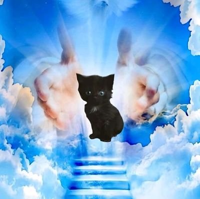 MierdaEmmaさんのプロフィール画像