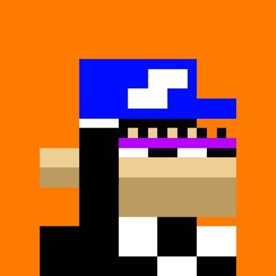 nftmonkes12's profile picture. 
