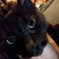 J. Oliver Lipinski (@oliverlipinski) 's Twitter Profile Photo J. Oliver Lipinski (@oliverlipinski) 's Twitter Profile Photo