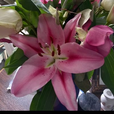 twitchy_eye22's profile picture. It's not nosiness to be interested in  what everyone else is doing.