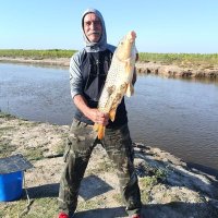 nicolas (@bigot57) 's Twitter Profile