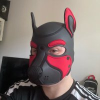 Pup Vexo (@pup_vexo) 's Twitter Profile
