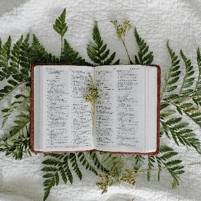 LifeByScripture's profile picture. Guiding daily life with God's word. Where scripture meets the everyday, offering wisdom, hope and inspiration for modern living. #FaithinAction