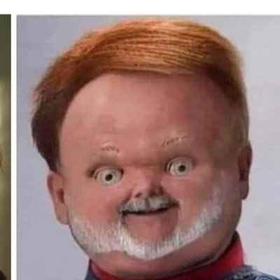 alpaca_tracka's profile picture. no followers.. I be around