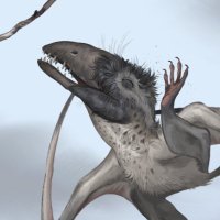 avi ☁ (@barghest_land) 's Twitter Profile Photo