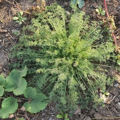 cemilcelepci's profile picture. İslam'ı Allah'ın razına uygun bir şekşlde yaşamak ve anlatmak.

To perform and explain the Islamic worships according to the Will of Allâhu Subhânahû wa Teâlâ.