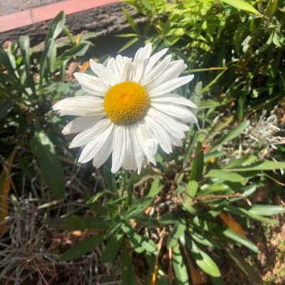 Católica. Me encanta la naturaleza, me preocupa el problema del agua y me interesan los problemas de la sociedad actual.