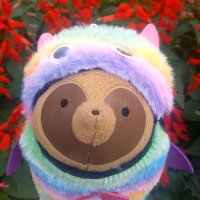 🦝雨之助🦝 (@sameno_oekaki) Twitter profile photo