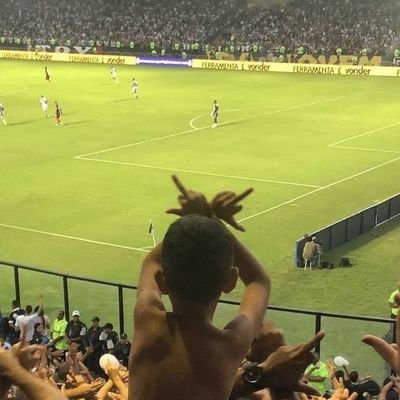 🫶
@vascodagama