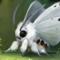 TheMoth (@just4moth) 's Twitter Profile