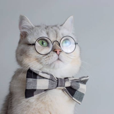 Josscrisrey26's profile picture. pensamiento y frases: ©️deseos viajar y conocer todo lo que se pueda, cumplir mis metas, seguir creyendo en mis sueños.
