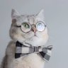 Josscrisrey26's profile picture. pensamiento y frases: ©️deseos viajar y conocer todo lo que se pueda, cumplir mis metas, seguir creyendo en mis sueños.