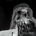 دنهامإلعتيبي . (@ooi5ll) Twitter profile photo دنهامإلعتيبي . (@ooi5ll) Twitter profile photo