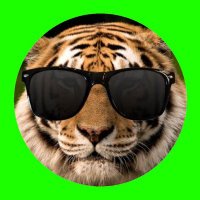 noqq (@sodermaier) 's Twitter Profile